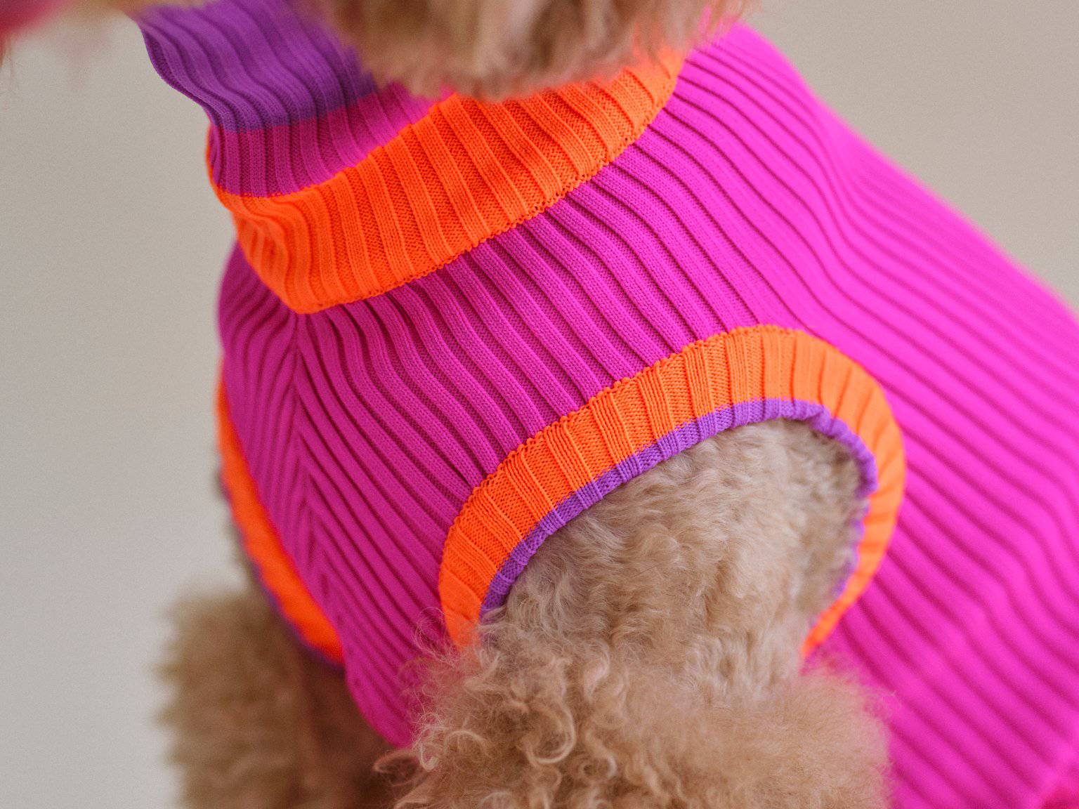 Neon Pink Colors Poodles Sweater