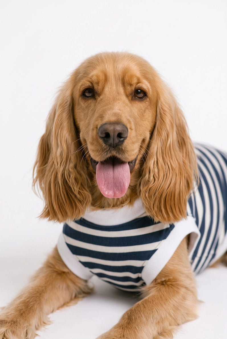 Striped Dog T-Shirt