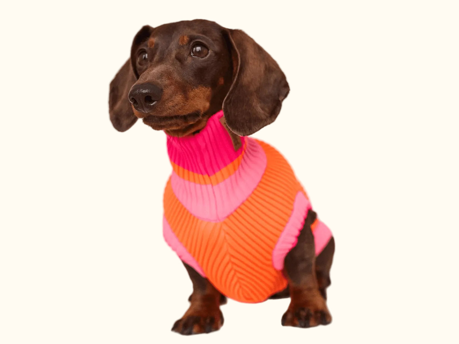 Neon Orange Colors Poodles Sweater