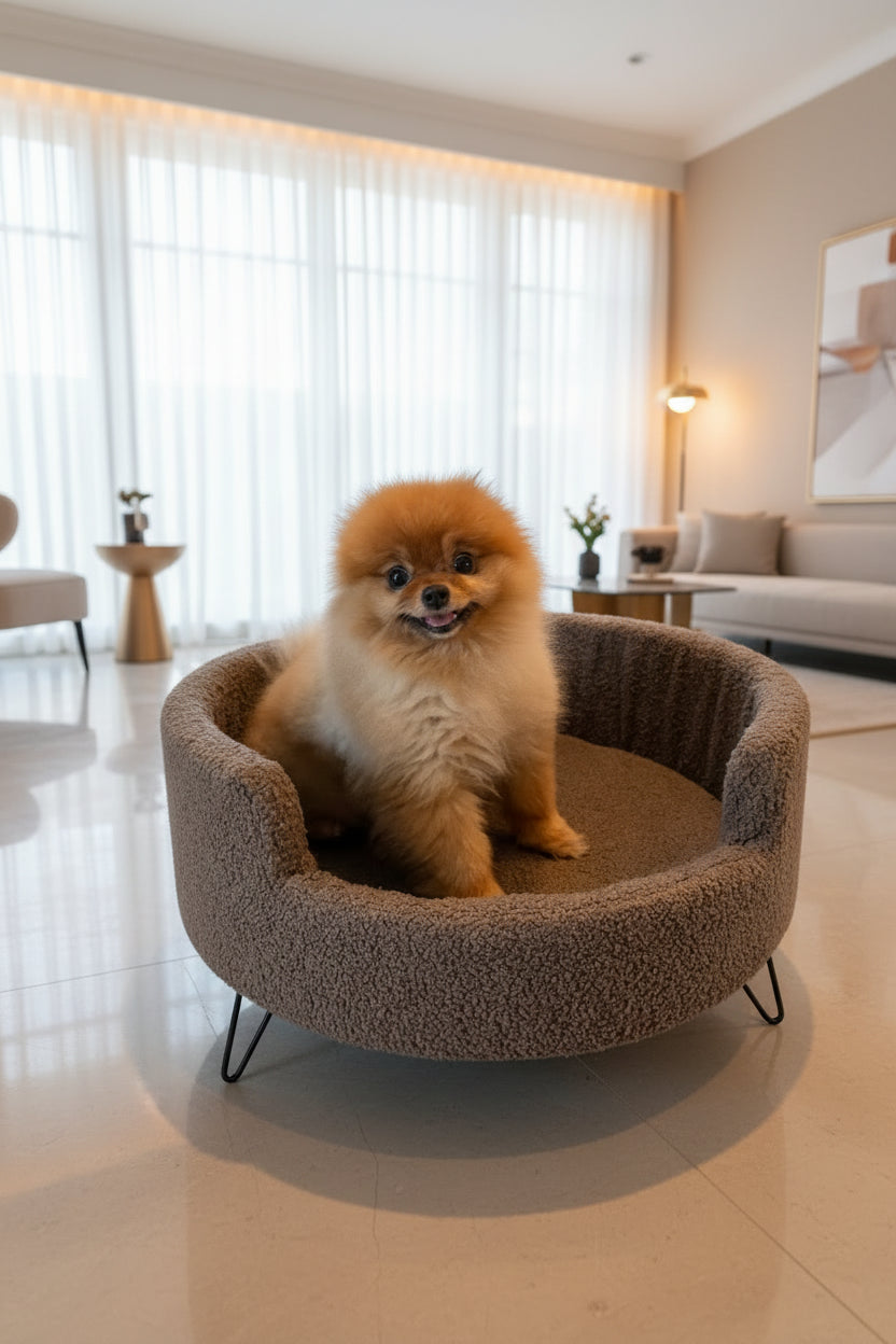 Teddy Dog Sofa