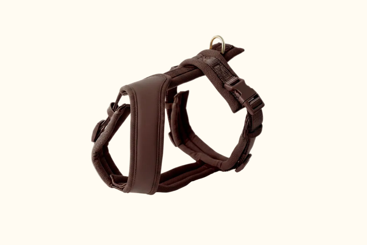 'Brown' - Comfort Dog Harness