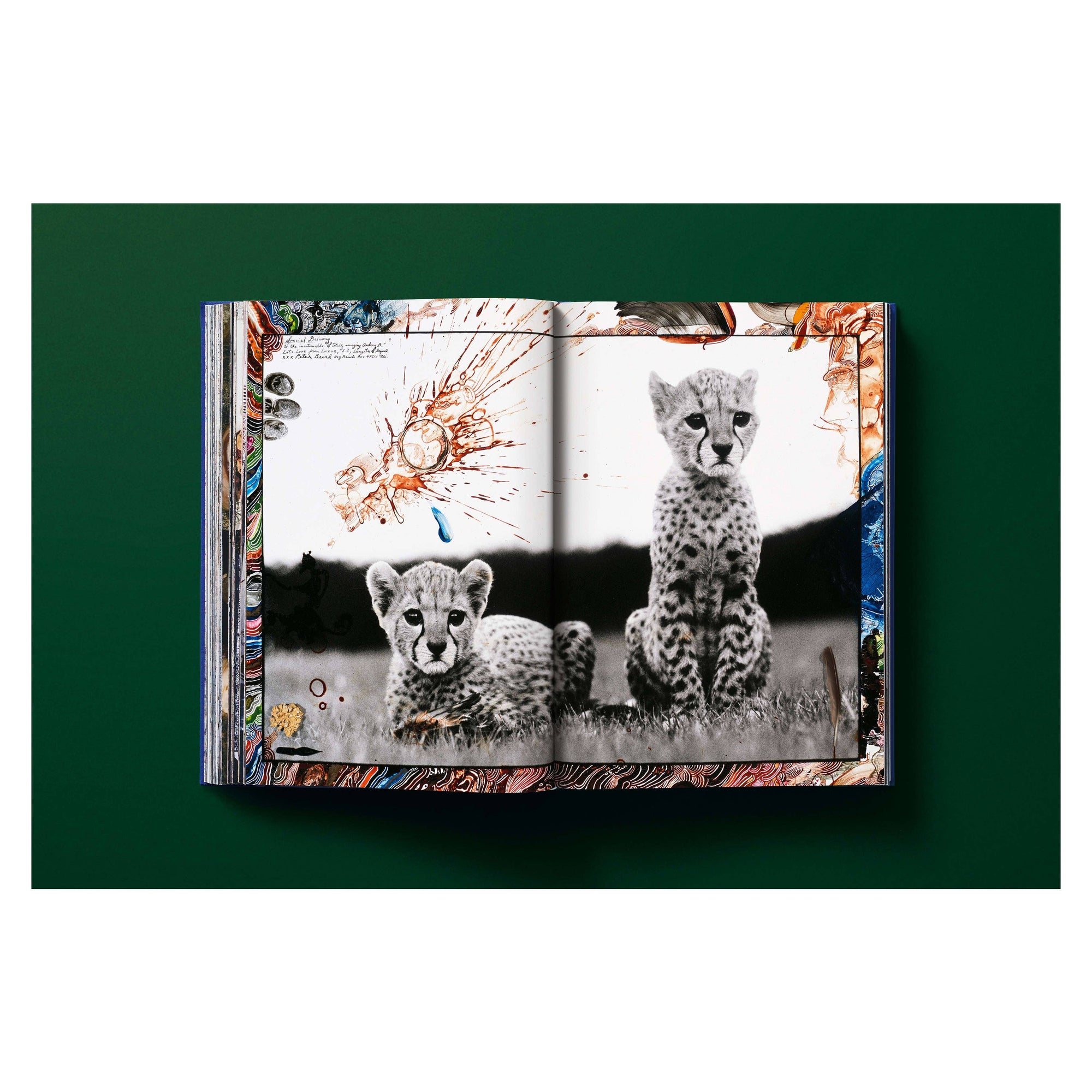 Peter Beard (German, French, English)