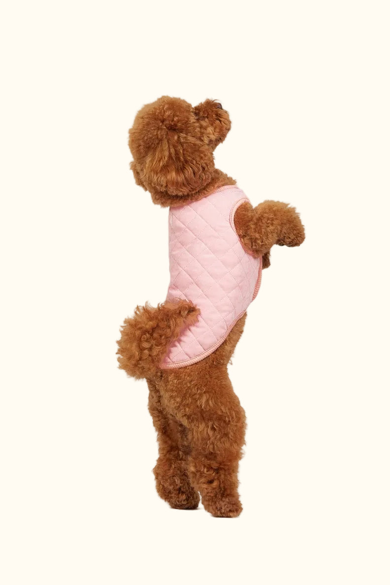 The Crystal Pink Coat