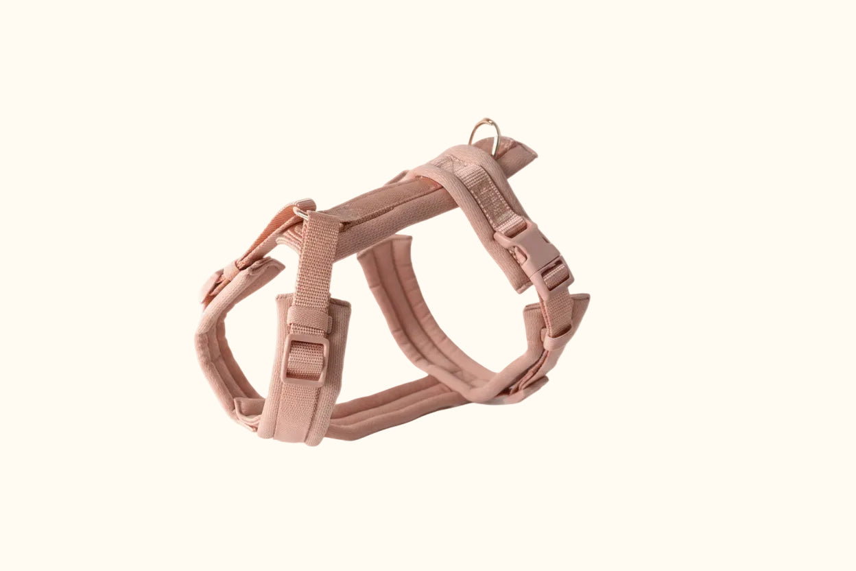 Powder Rose Comfort Dog Harness