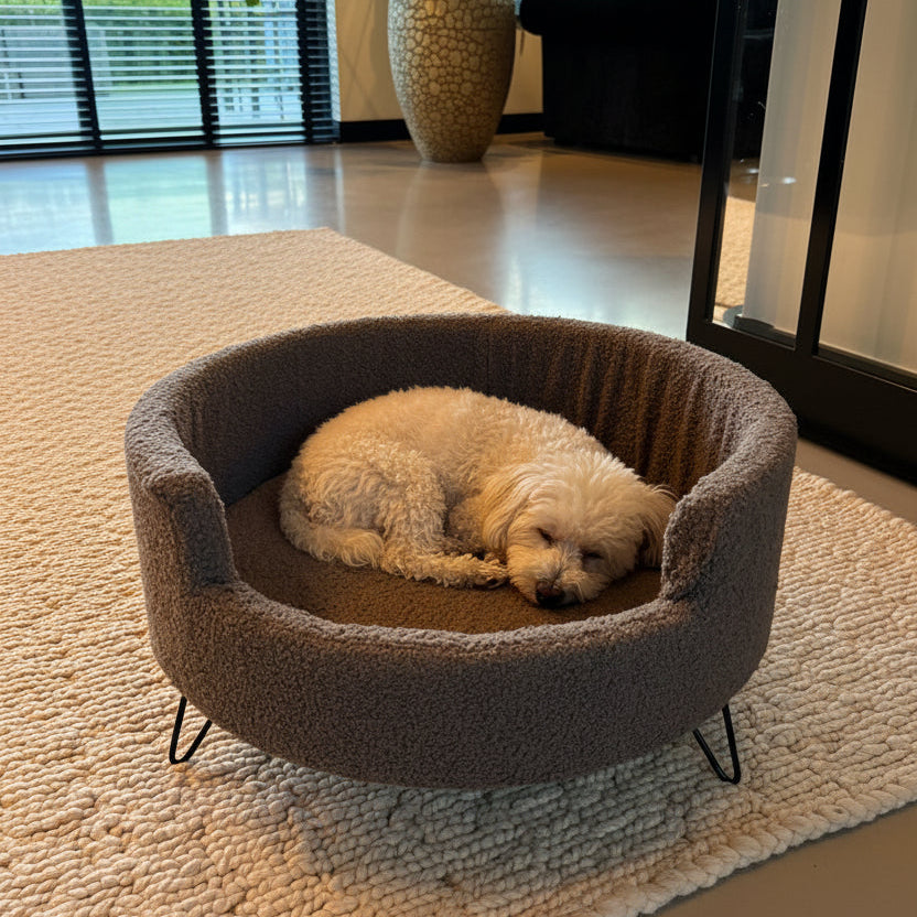 Teddy Dog Sofa