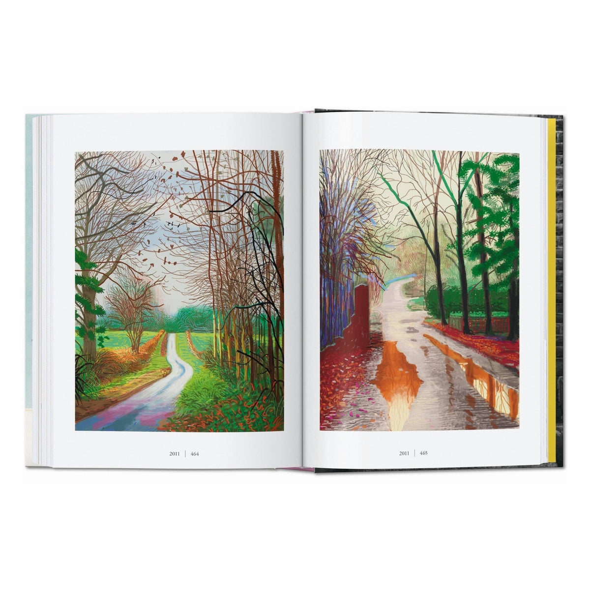 David Hockney. Une chronologie. 45th Ed. (French)