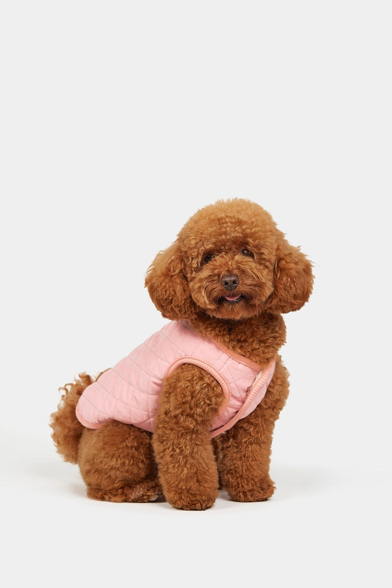 The Crystal Pink Coat
