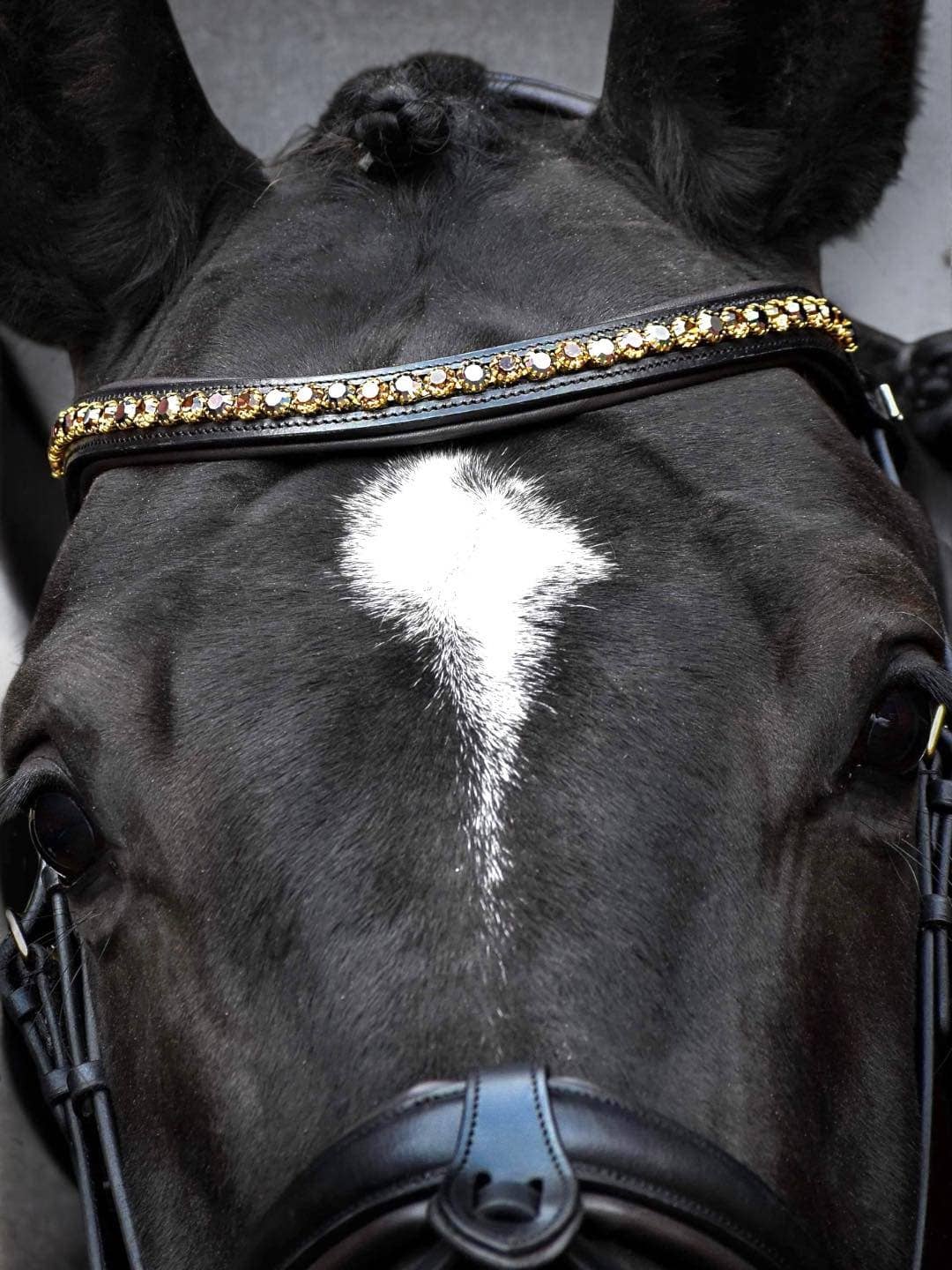 Browband with quick snap and Preciosa crystals: Cob