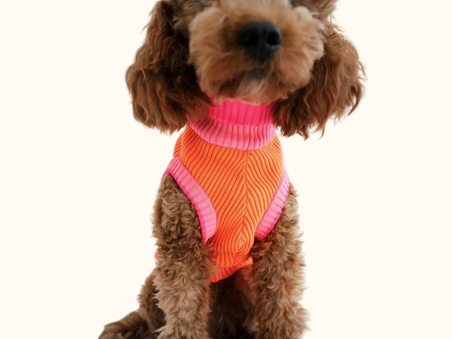 Neon Orange Colors Poodles Sweater