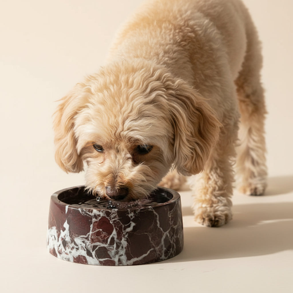 Marble Food and Drink Bowl | Rosso Lepanto