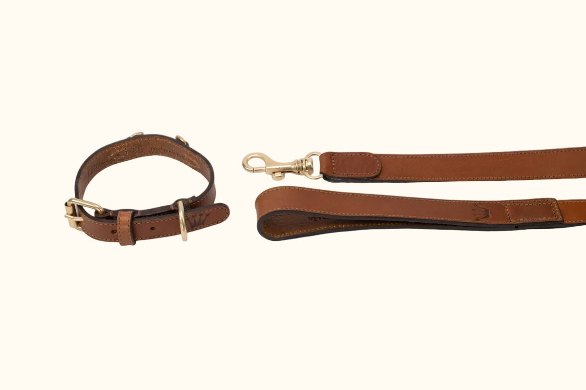 Corocota Brown Equestrian Strap: Brown