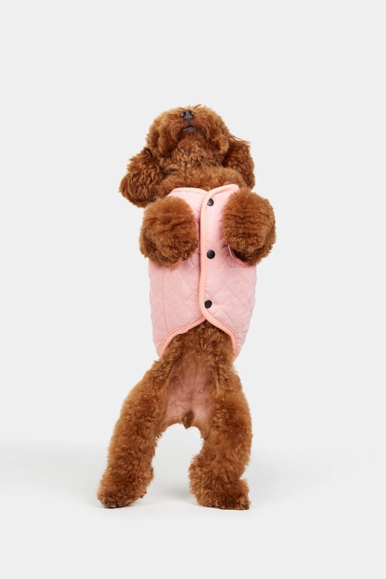 The Crystal Pink Coat