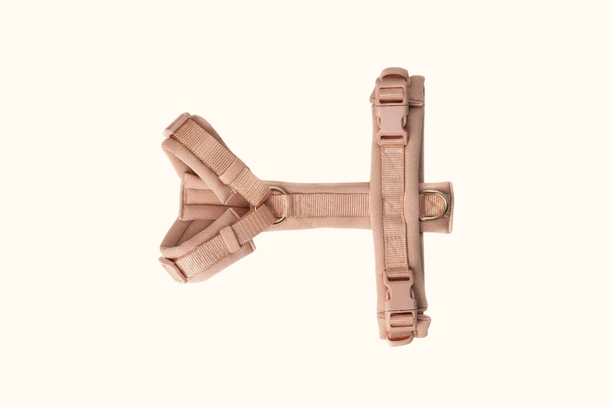 Powder Rose Comfort Dog Harness