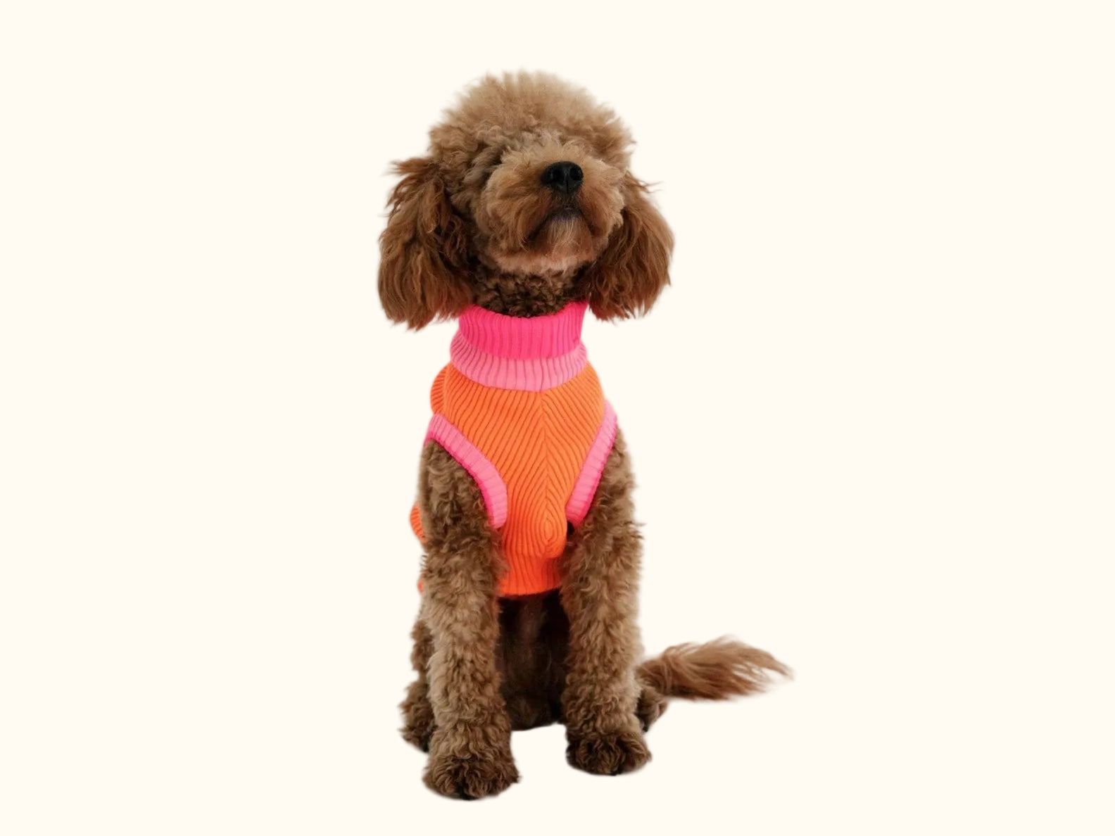 Neon Orange Colors Poodles Sweater