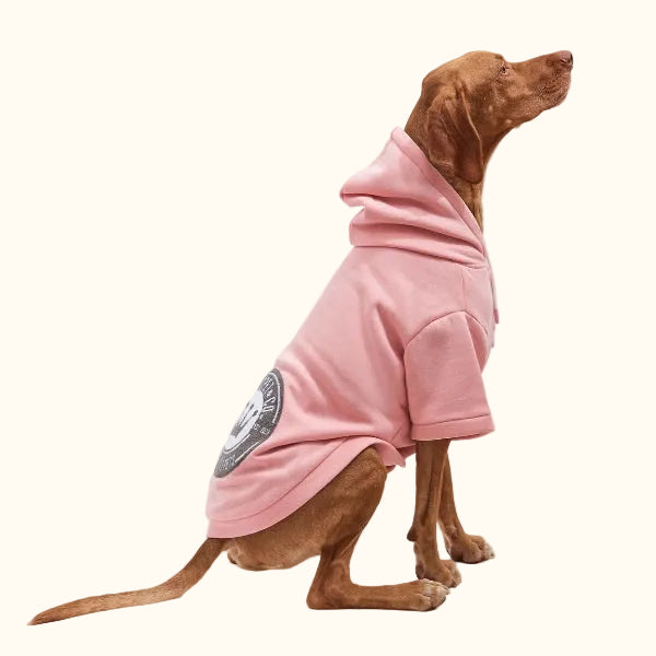 Pink Hoodie Sweatshirt