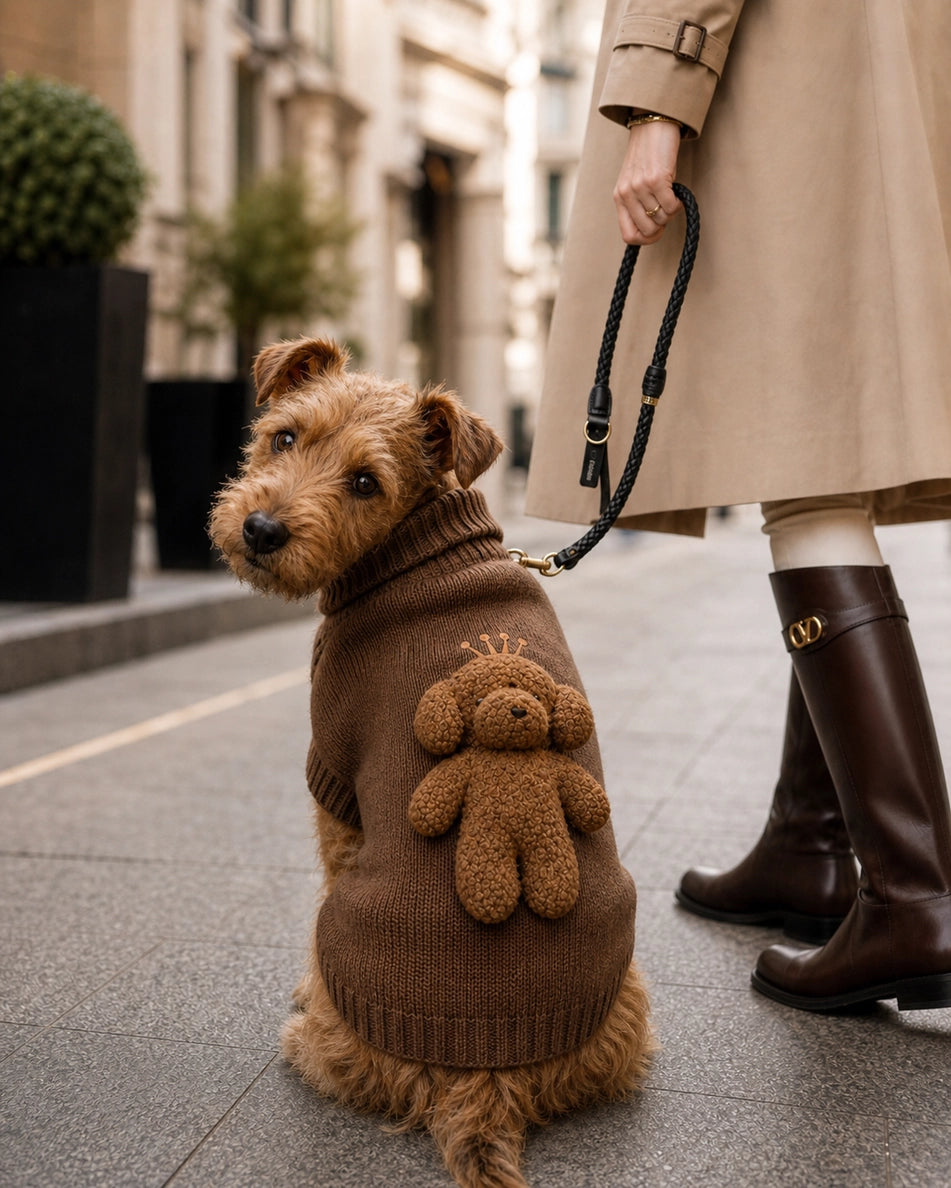 Teddy Bear Sweater for Poodles and Mini