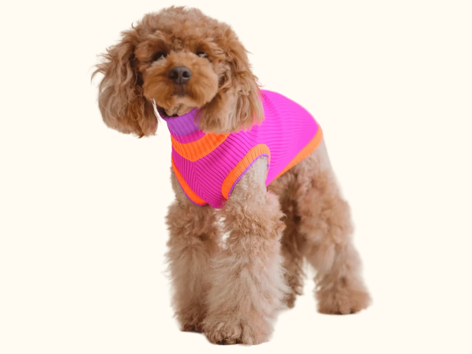 Neon Pink Colors Poodles Sweater