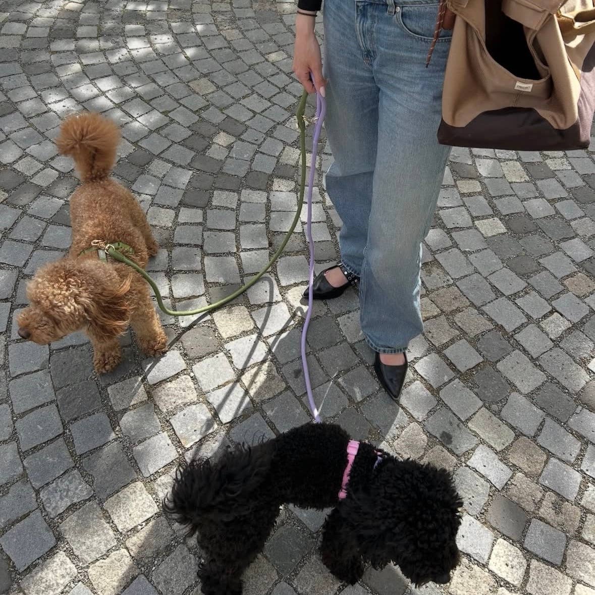 'Sand' - Braided Rope Leash